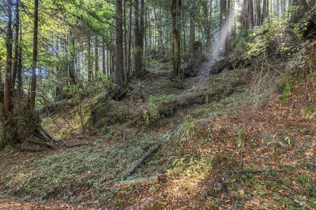 1 Pringle, Soquel