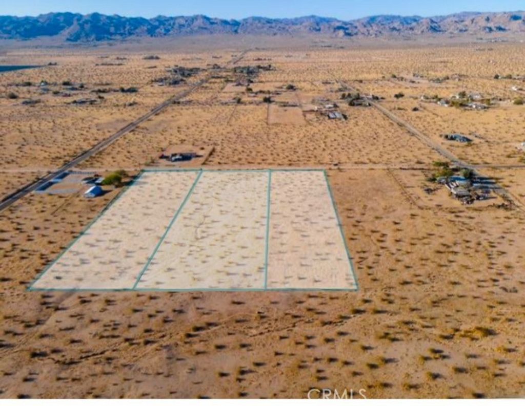 4 Sunflower, Joshua Tree