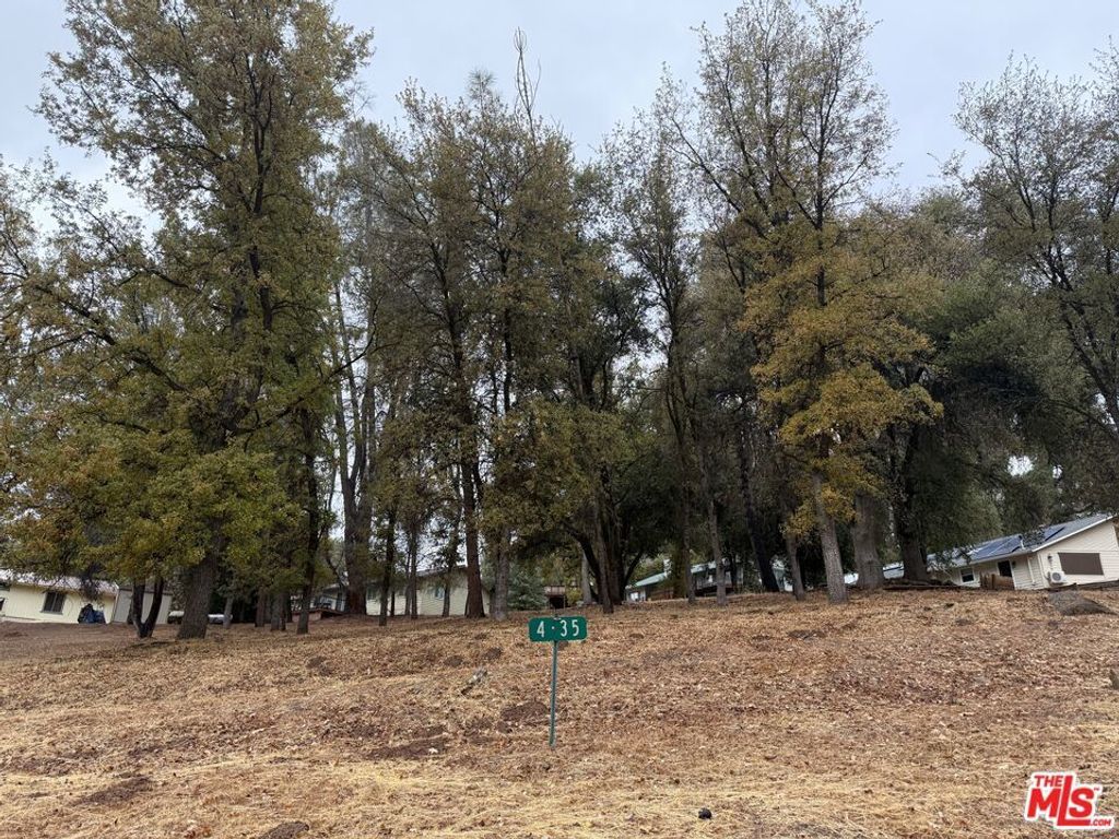 Crecent Way, Groveland