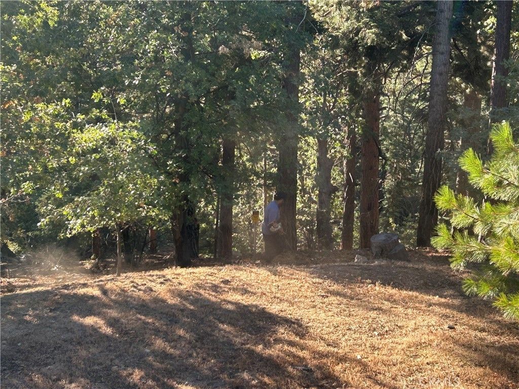 2335 Deep Creek, Running Springs