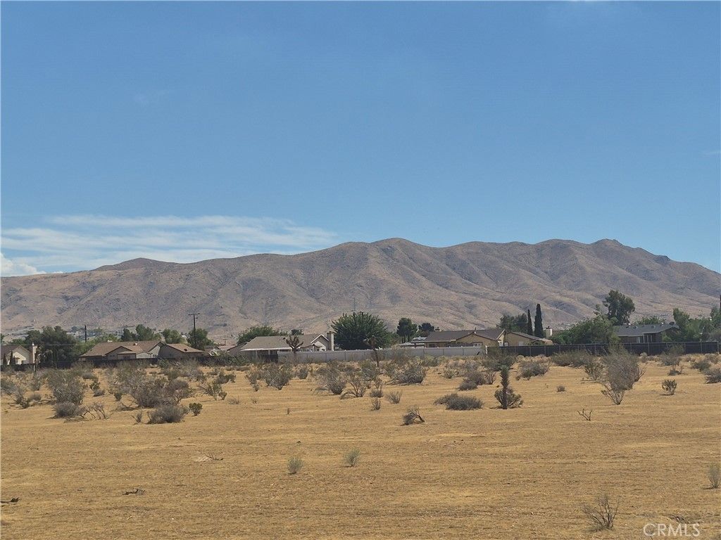 Merino, Apple Valley