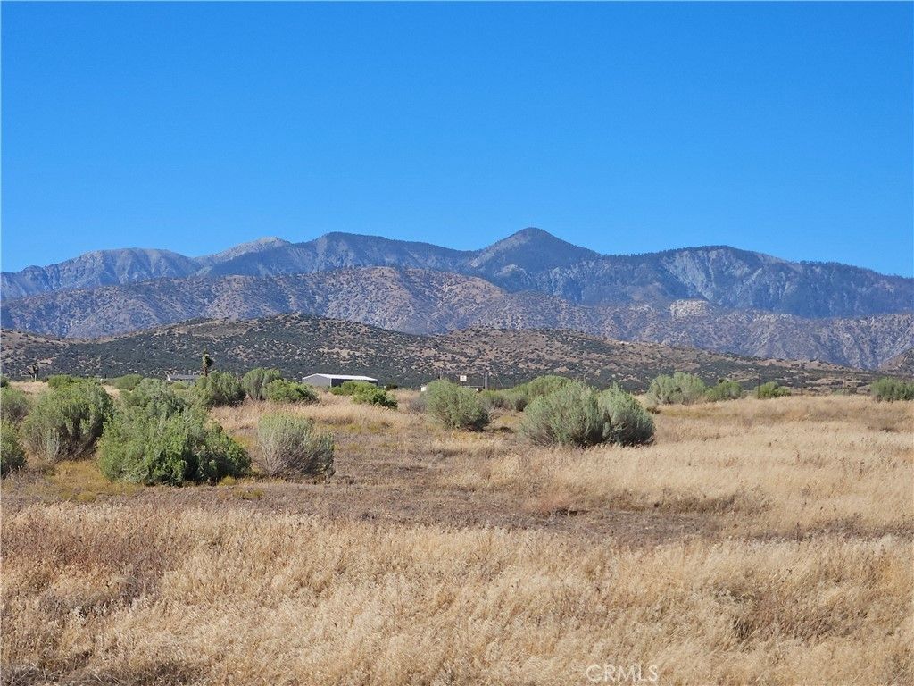 Mesquite, Phelan