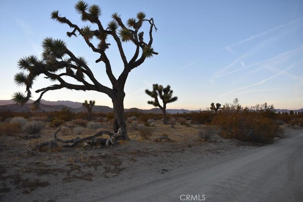 6000 W Backus Road, Mojave