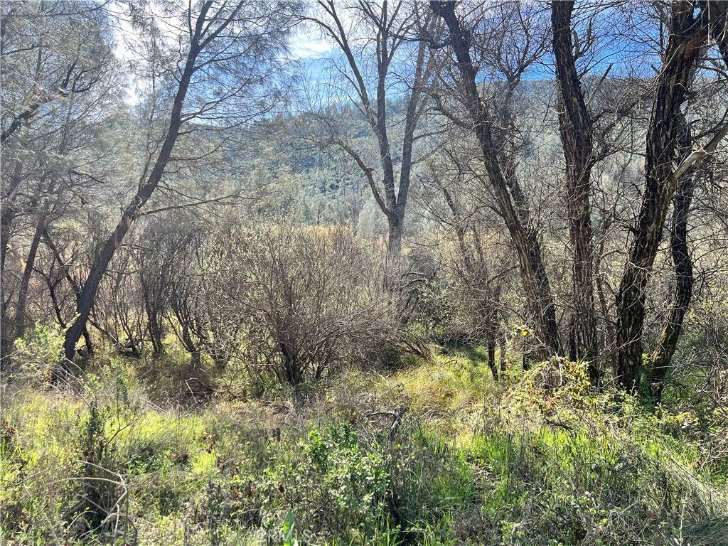 2286 New Long Valley Road, Clearlake Oaks