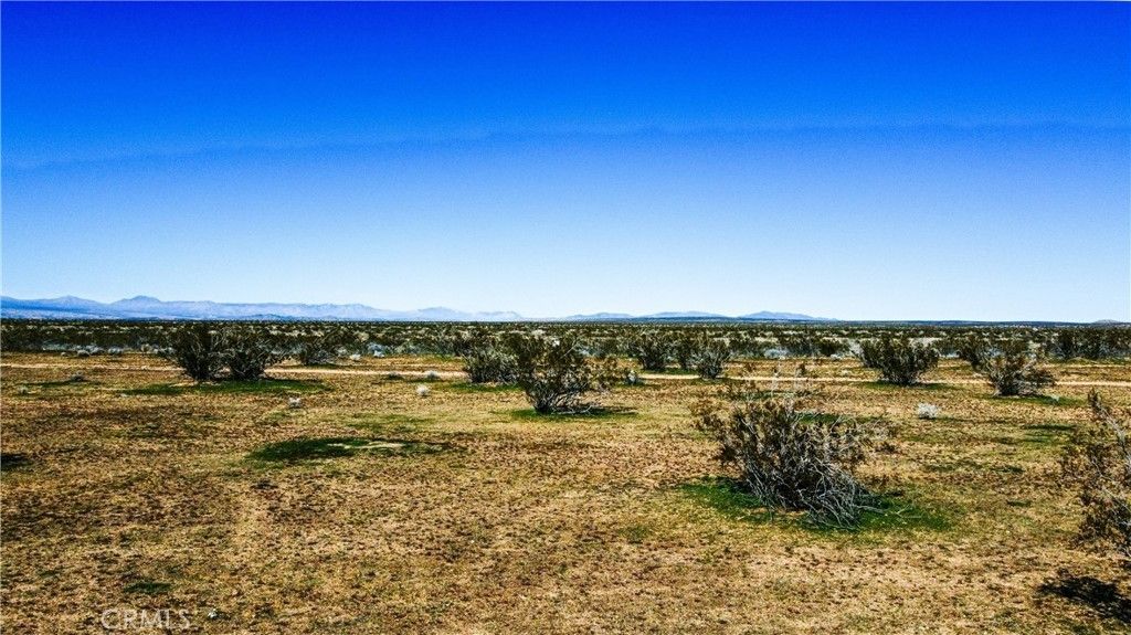 Washburn Boulevard, California City