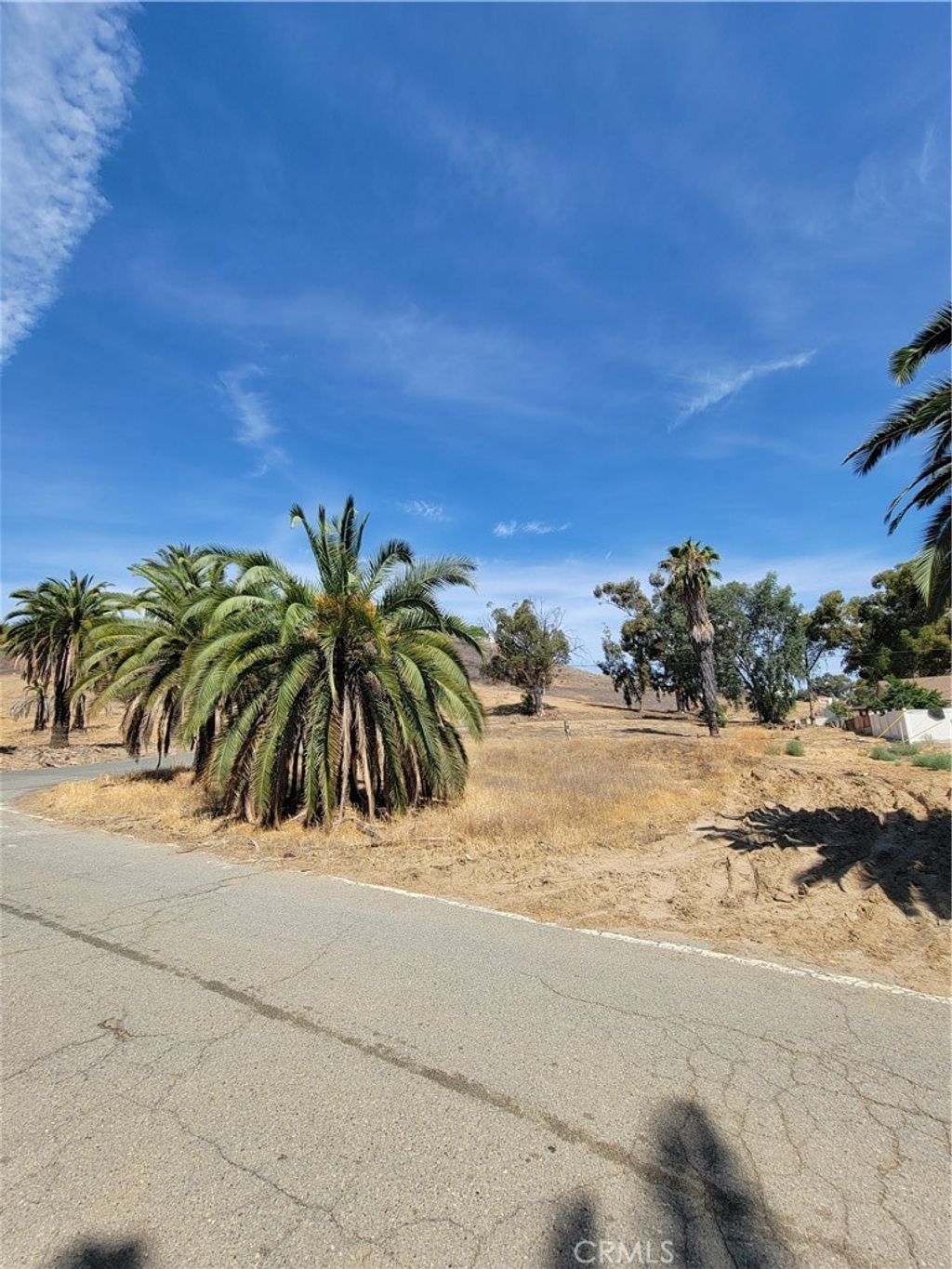 Shrier, Lake Elsinore