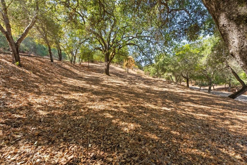 16099 Greenwood Road, Monte Sereno
