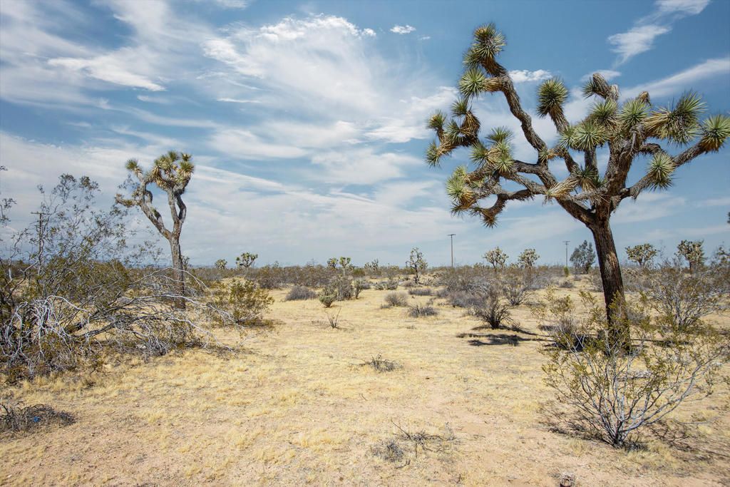 138 La Brisa Road, Yucca Valley