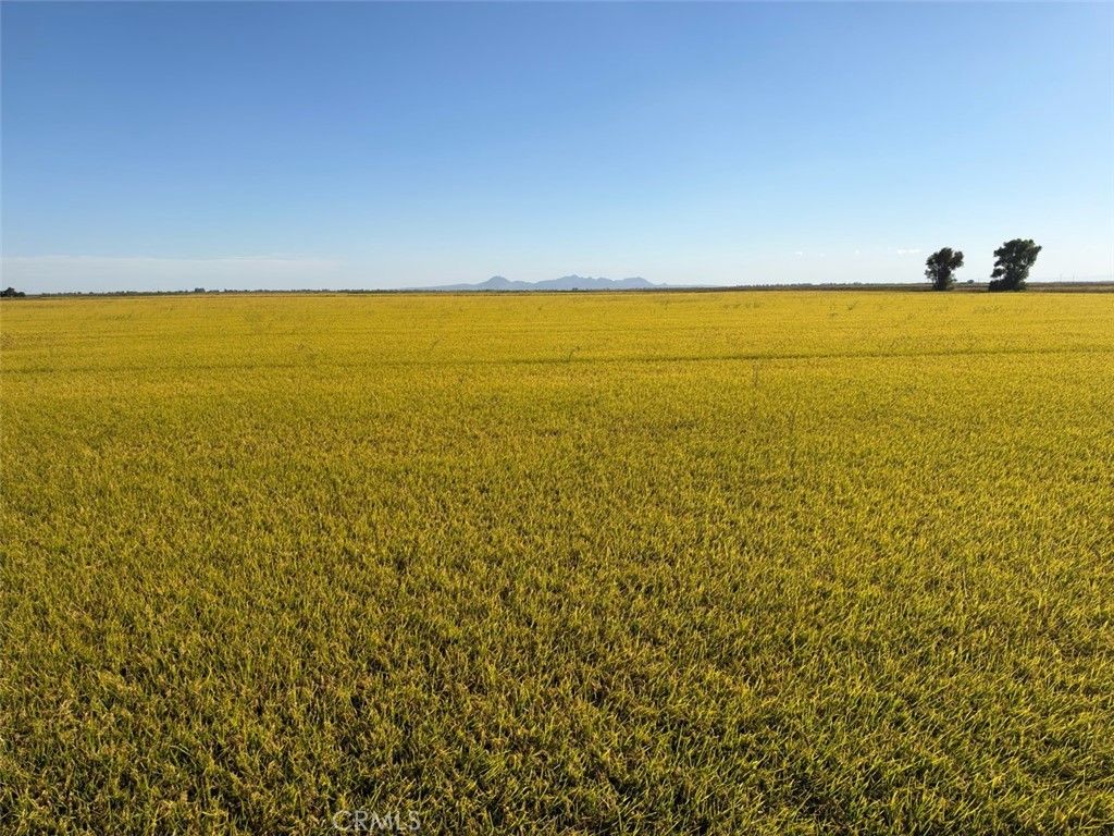 Lofgren Road, Richvale