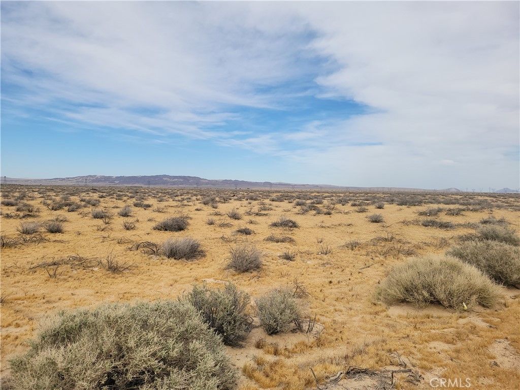 Coyote Lake Road, Newberry Springs