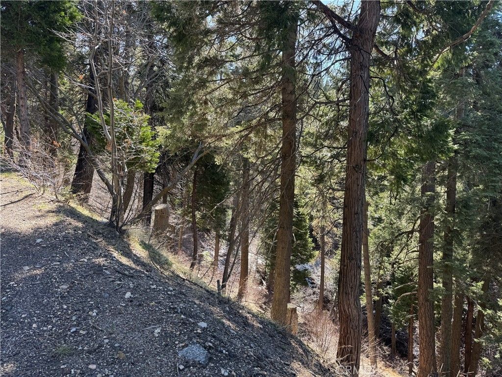 Sunderland Court, Lake Arrowhead