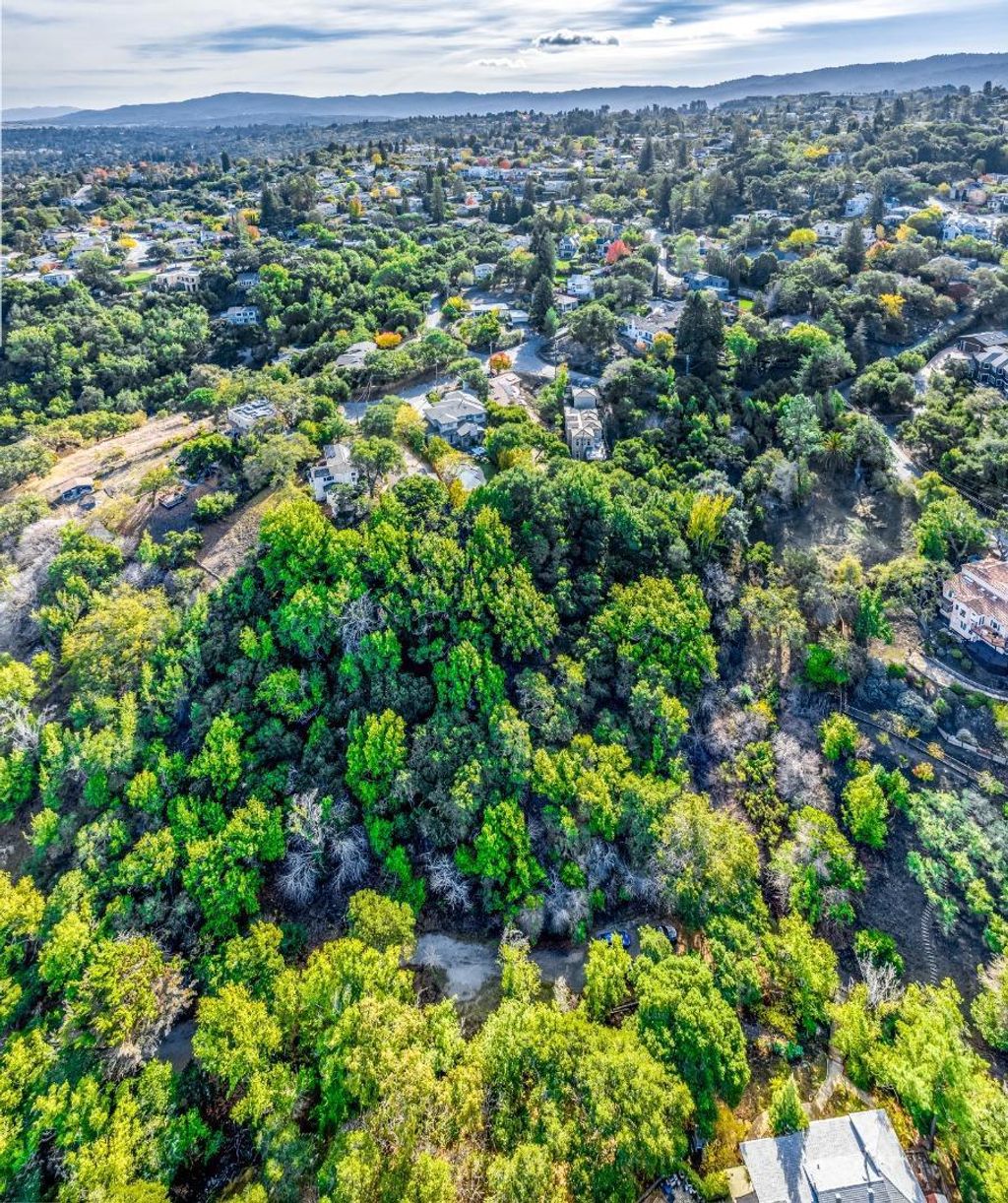 Canyon, Redwood City