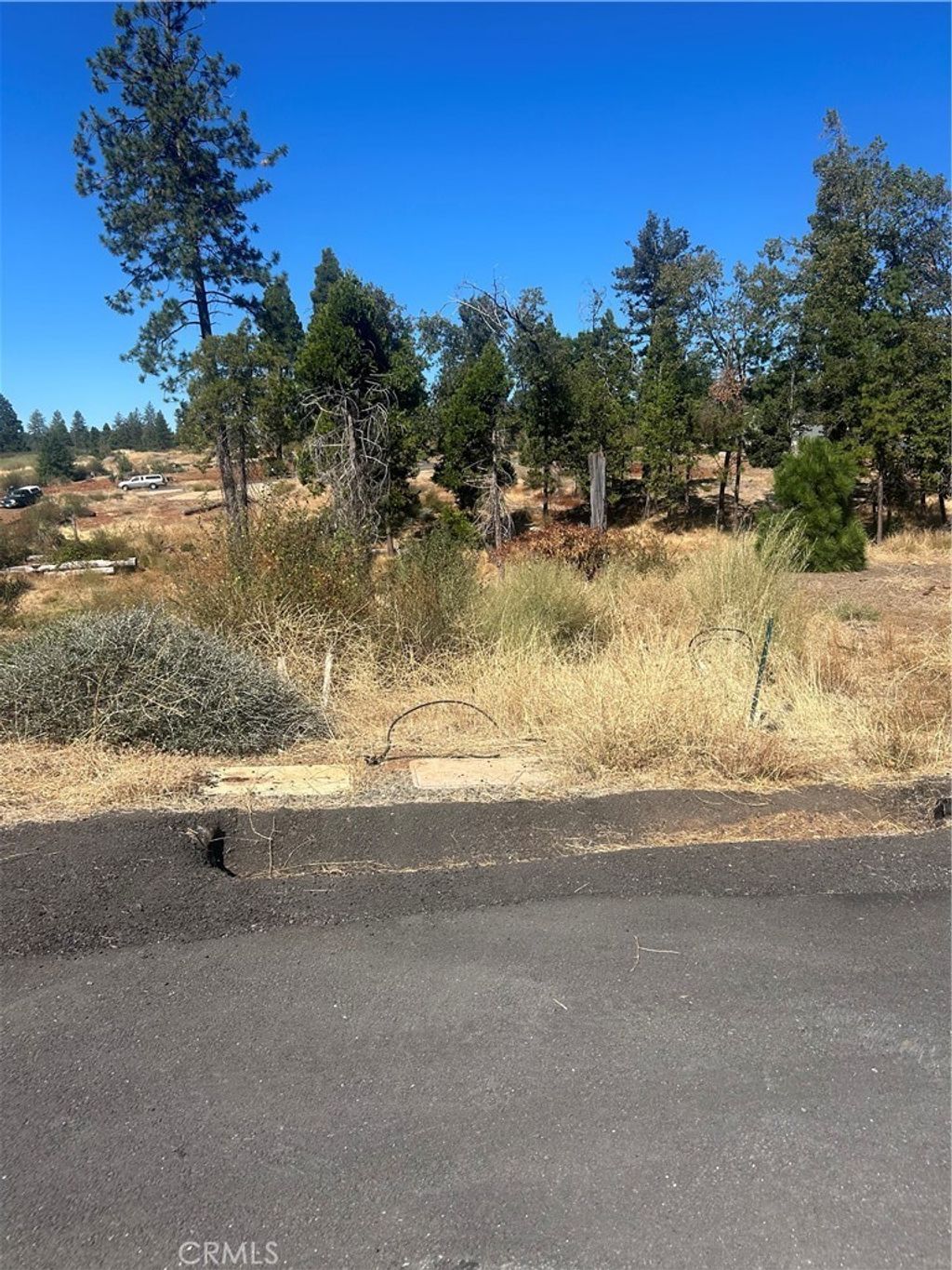 13665 Fritz Court, Magalia