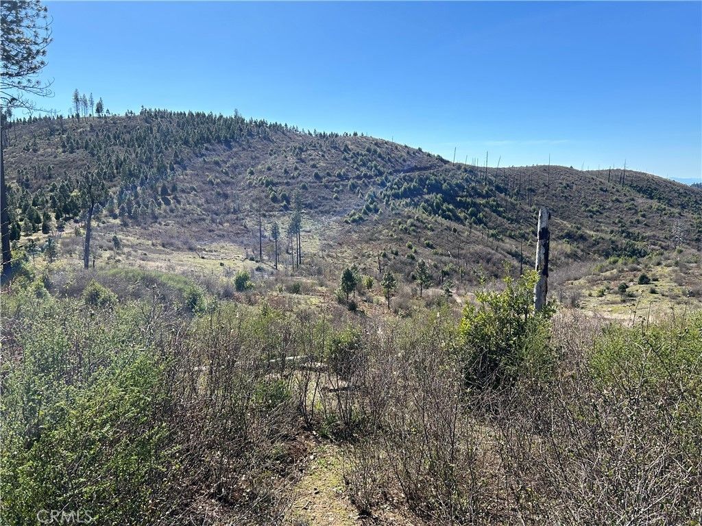1234 Hog Ranch Rd, Oroville