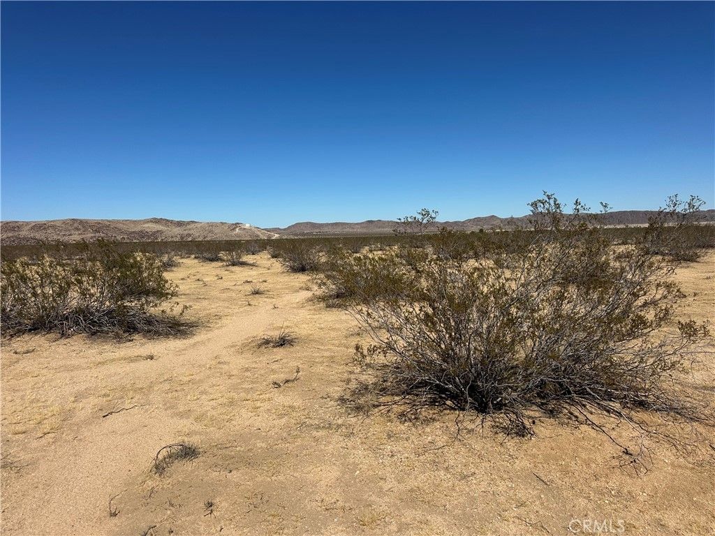 Delaware, Joshua Tree