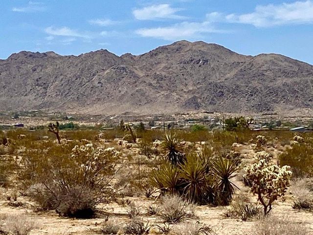 117 Border Road, Joshua Tree