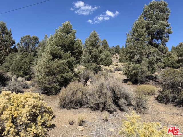 Falling Springs Road, Big Bear City