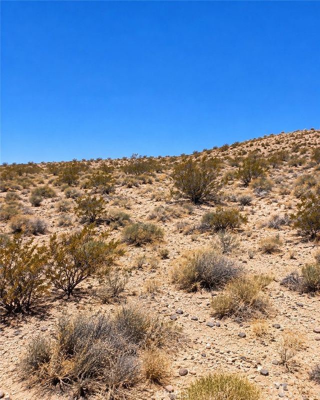 2 Mile, 29 Palms
