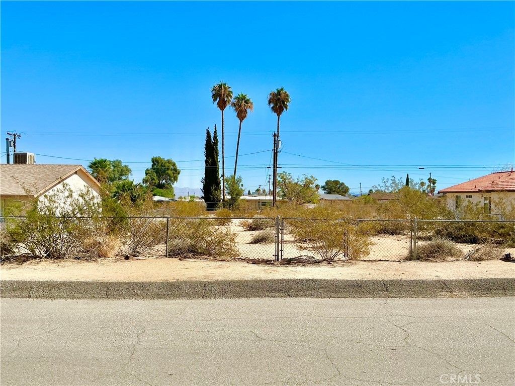 Baileya, 29 Palms