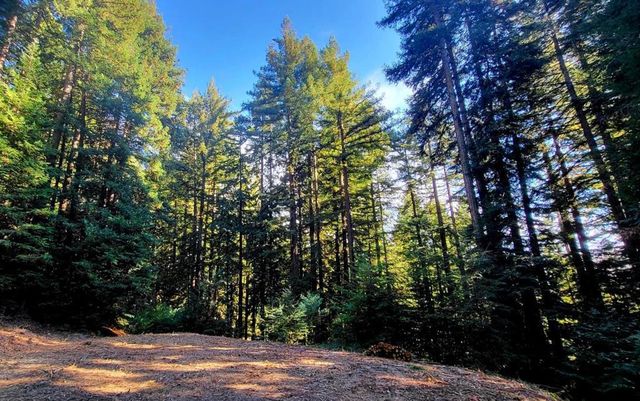 Redwood Lodge Road, Los Gatos