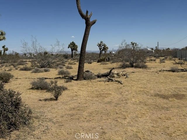1234 Alta, Yucca Valley