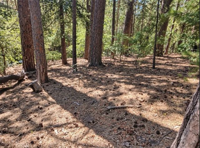 131 Golf Course Road, Lake Arrowhead