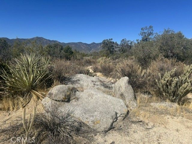 319 Alpine Dr, Mountain Center