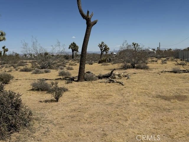 1234 Alta Avenue, Yucca Valley