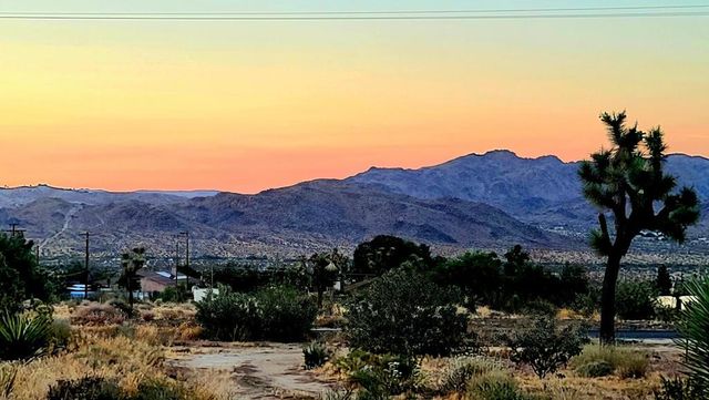 60307 Alta Loma Drive, Joshua Tree