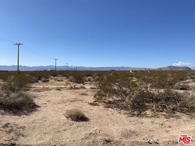 Sonora Road, Joshua Tree