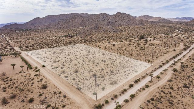 59369 Onaga, Joshua Tree