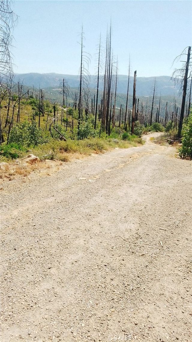 Enumclaw, Berry Creek