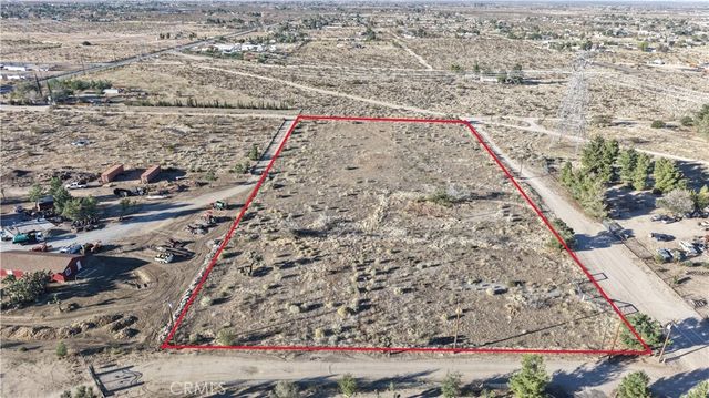 11132 Campanula, Phelan