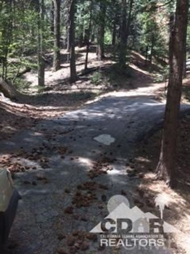44530 San Pablo, Lake Arrowhead