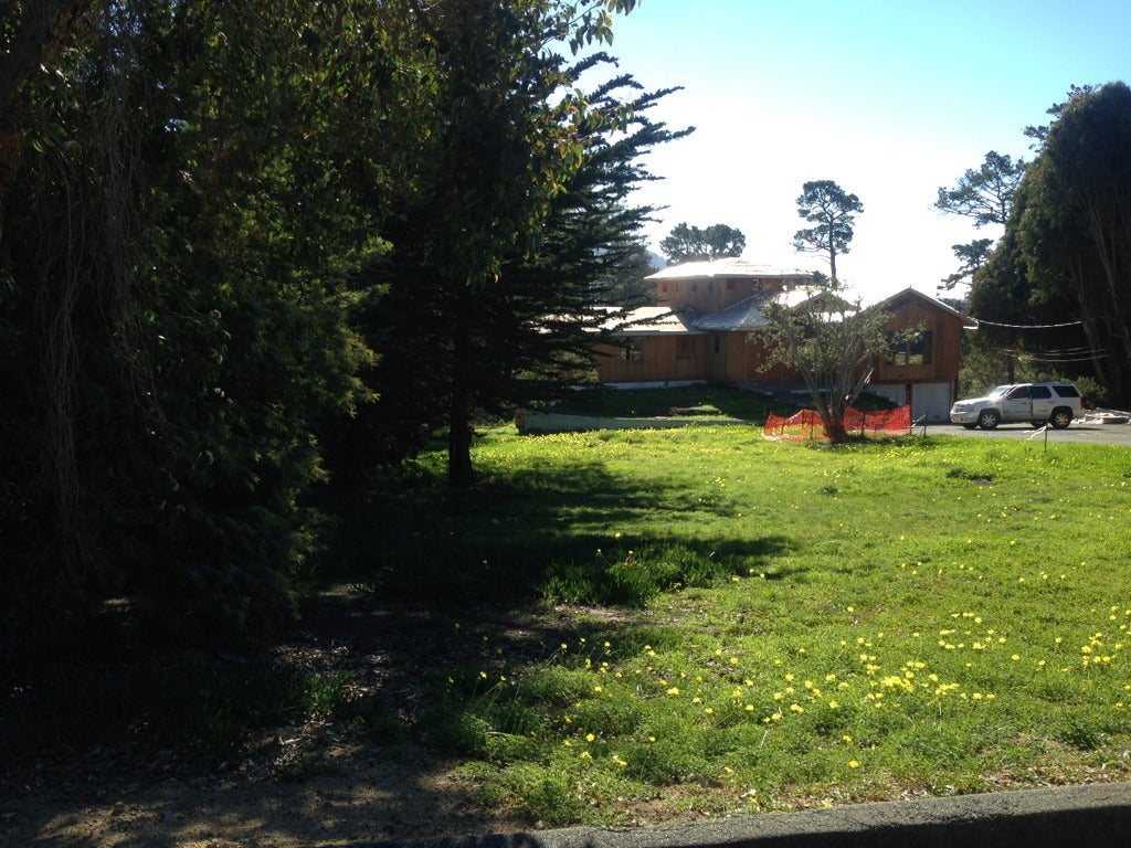 Photo of Listing #ML81446651