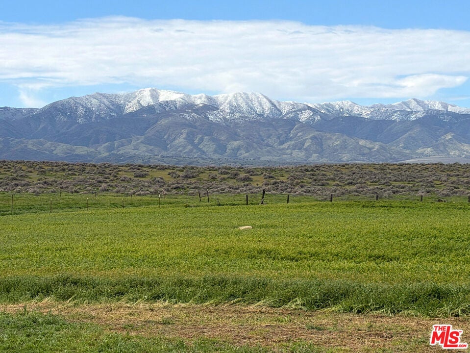 Photo of Listing #17256928