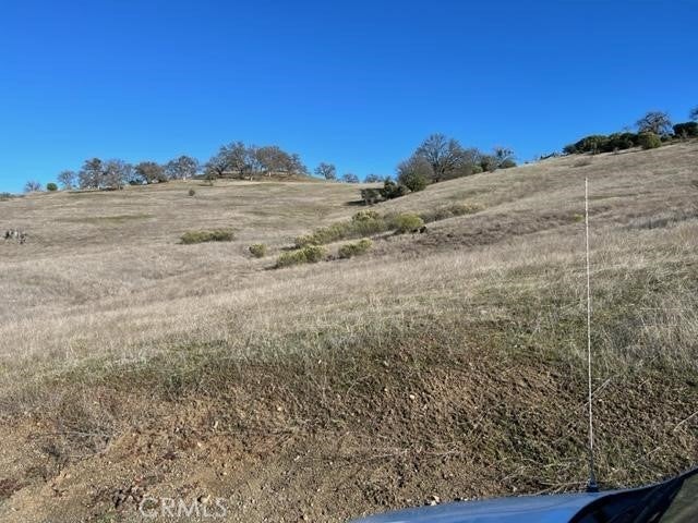 Photo of Listing #LC20037862