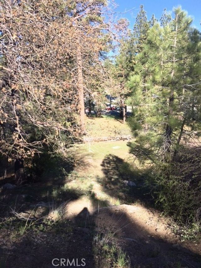 Talmadge, Big Bear