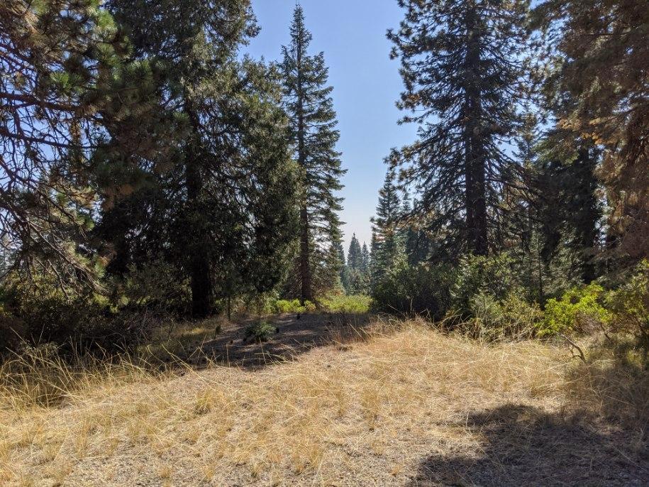 Ridge Drive, McCloud CA McCloud Lots/Land Homes For Sale