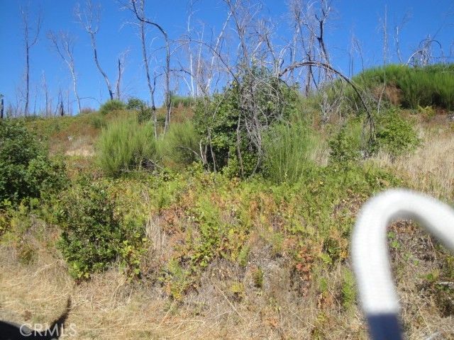 Meadow Lane, Berry Creek