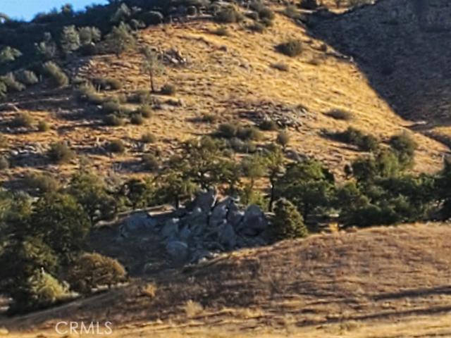 Photo of Listing #529790