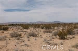 Photo of Listing #CV20246177