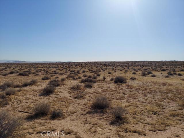 Photo of Listing #534536