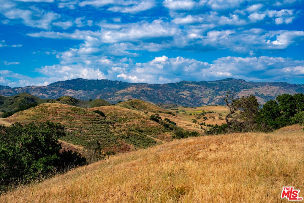 4600 Estelle Vineyard Drive, Santa Ynez CA Santa Ynez Lots/Land Homes