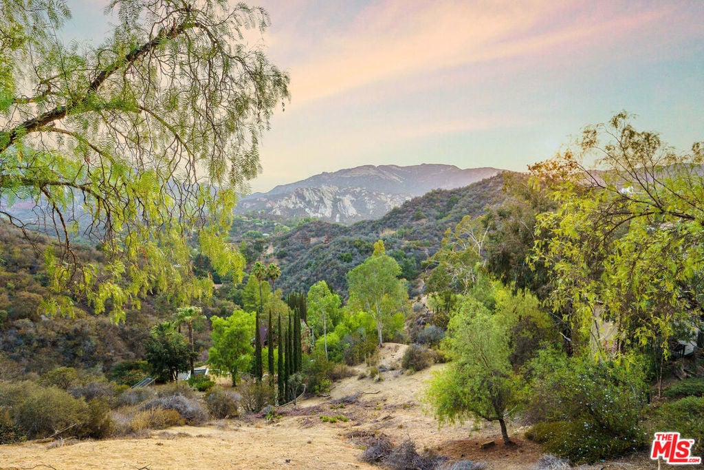 Topanga Skyline Drive, Topanga CA Topanga Lots/Land Homes For Sale