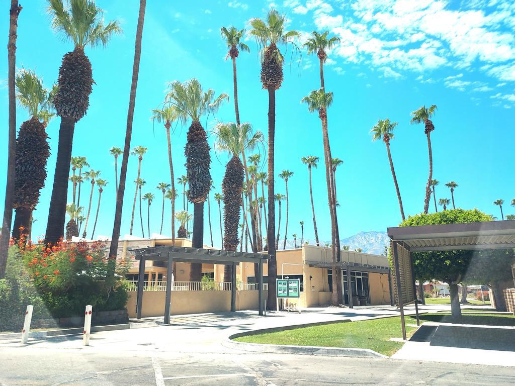 Photo of Listing #219133284DA