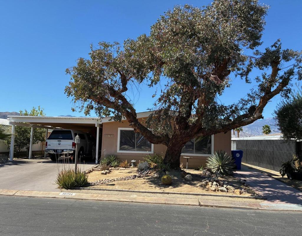 Photo of Listing #219144625DA