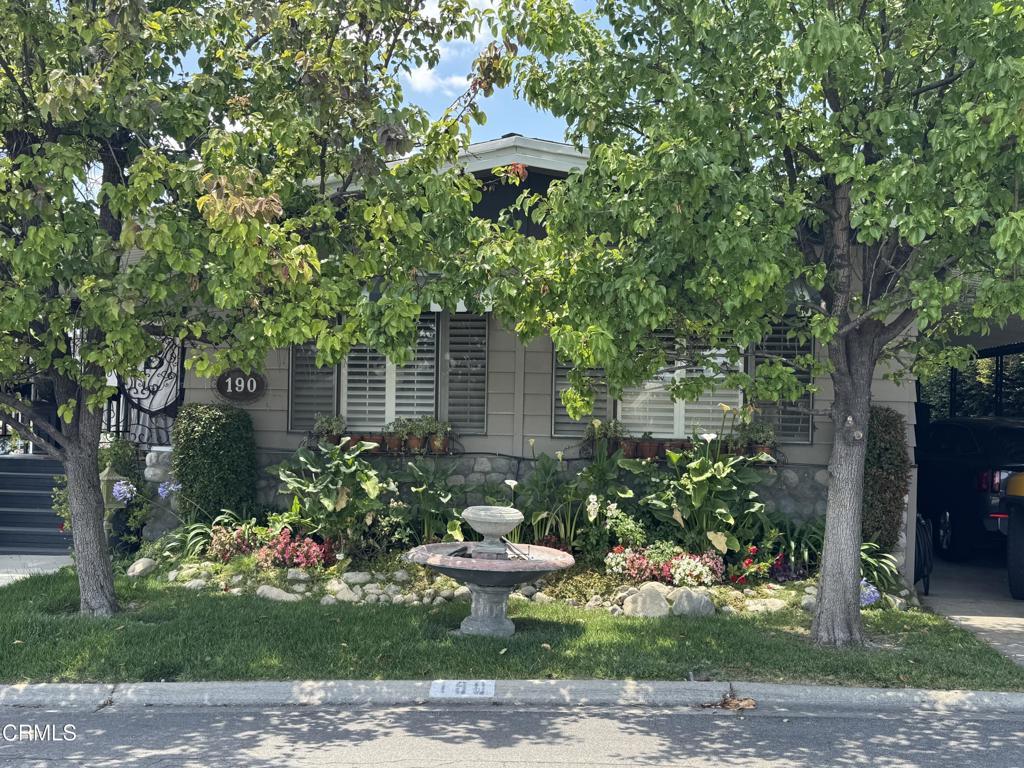 Photo of Listing #V1-36799