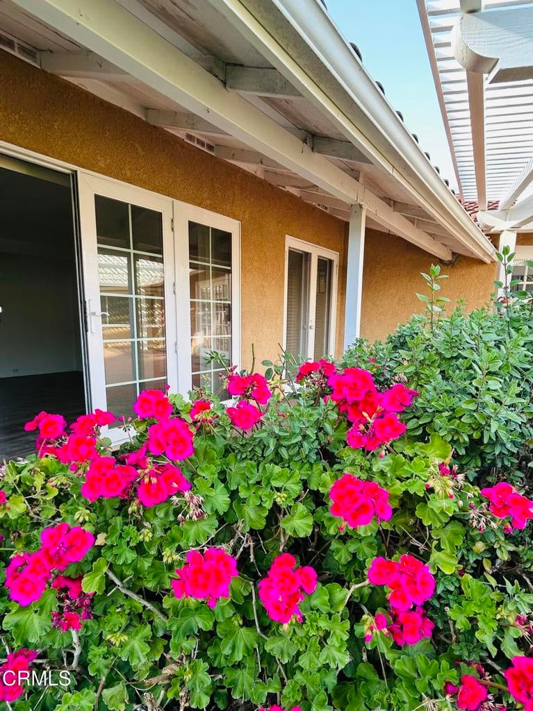 Photo of Listing #V1-27940