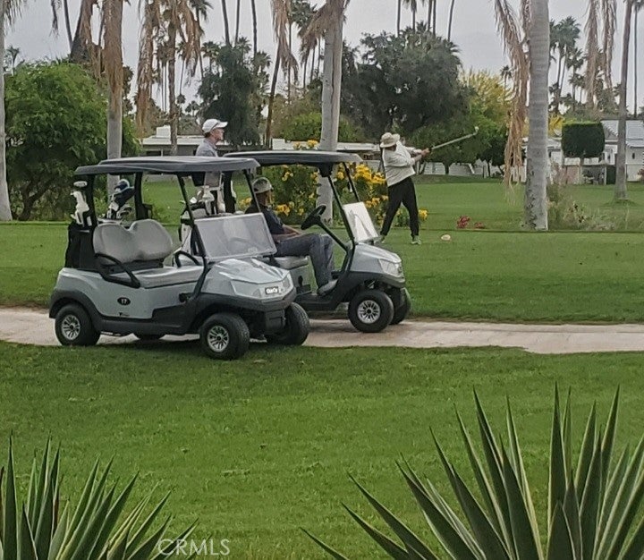 Photo of Listing #PV25092485